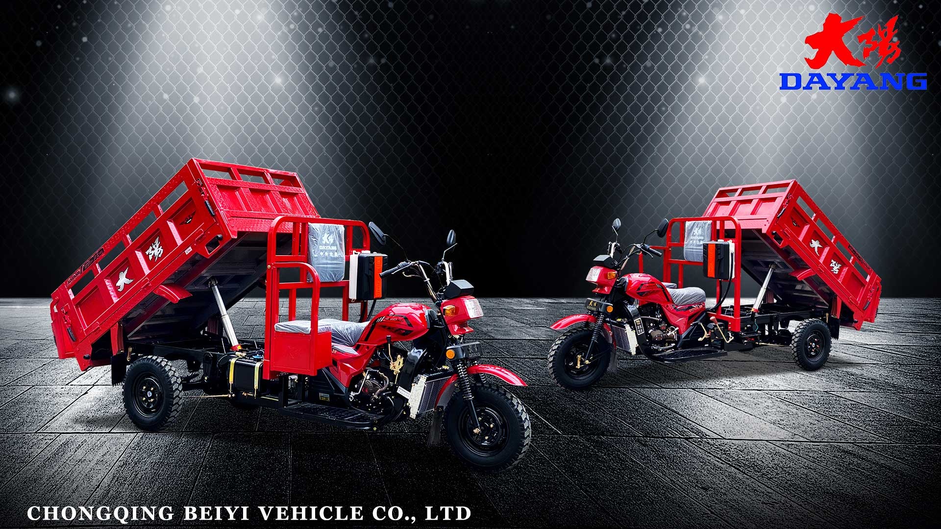 Maximum Speed 50-70Km/h Super Powerful Engine Cargo Tricycle for Adult in South Africa
