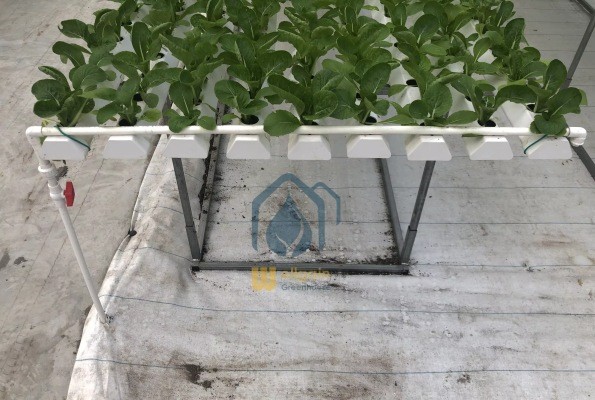 Agricultural Vertical NFT Hydroponic Lettuce Growing Systems Equipment In Greenhouse