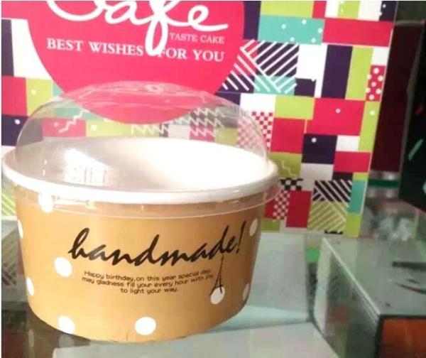 Eco-friendly icecream cup_Food Grade Eco-friendly icecream cup_Wholesale custom