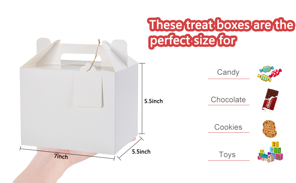 Party Favor Gable Boxes