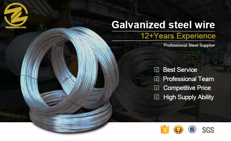 Galvanized Steel Wire 8mm in ASTM Standard from Professional with Q195/Q235/SAE1006/SAE1008 Grade