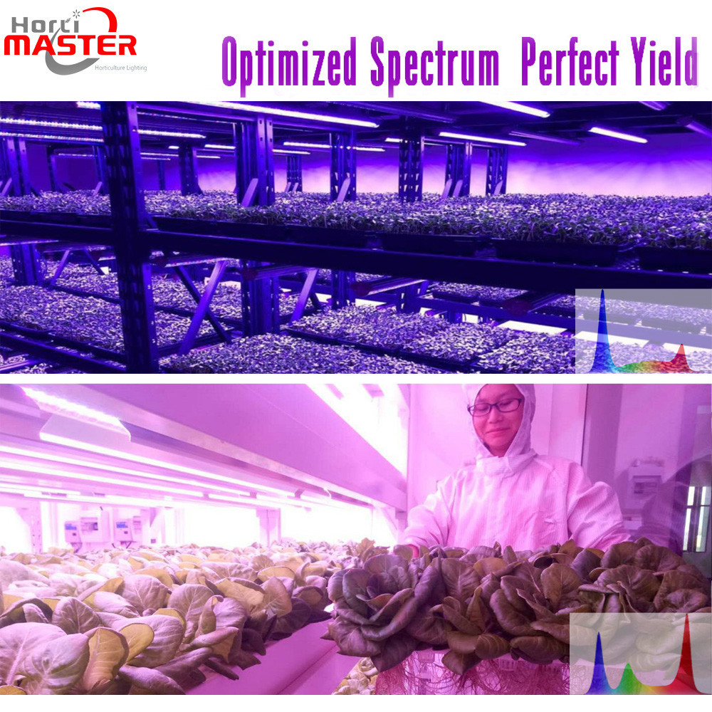 Vertical Full Spectrum LED Grow Lights Strip For Clone Use Vegetative Growth