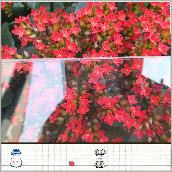 100% Virgin Bayer Foshan Blue PC Solid Sheet Polycarbonate Roof Sound Insulation