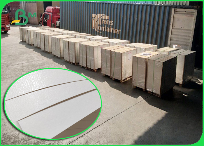 PE Coated Paper Biodegradable Cups Board Paper Bowl Board Food Container