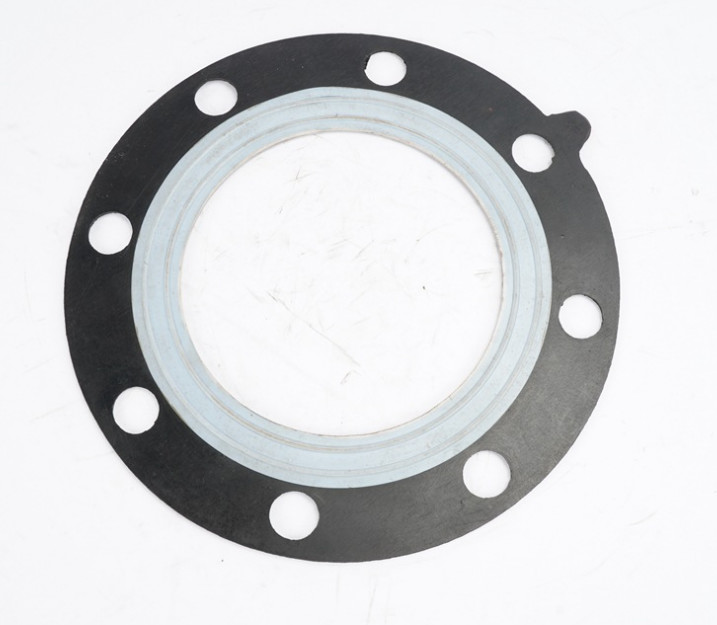 DN10 To DN100 Rubber Flange Gasket PTFE Composite Air Operated Pump Diaphragm Kit