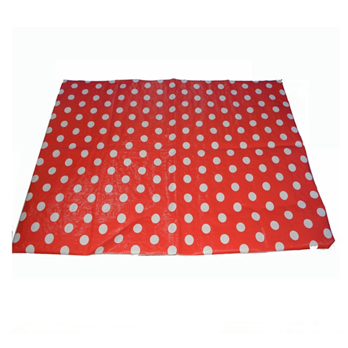 OEM Custom Printed picnic camping plastic straw mats/foldable picnic blanket