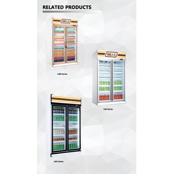 Fan Cooling Commercial Display Freezers for Displaying Beverages in Glass Door and 220V Voltage