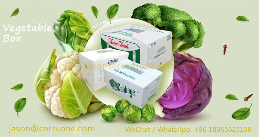 Corn Corflute Box Vegetable Corrugated Boxes Recyclable Custom Size