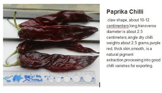 XingLong Dried Red Bell Peppers 8% Moisture Claw Dried Chilli Pepper
