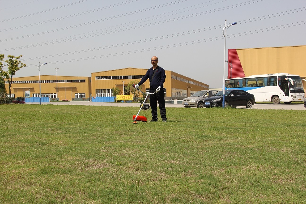 43CC Petrol Brush Cutter 1.8HP Grass Cutter Petrol Machine