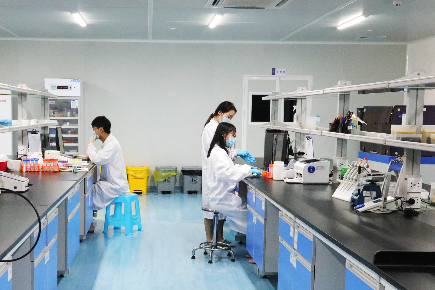 ST2 Real Time PCR Kits WWHS FIA Rapid Quantitative Test Kit 20T Assay