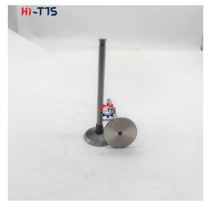 6BT 4BT Diesel Engine Spare Parts Inlet Valve 3901117 3920867 3920868