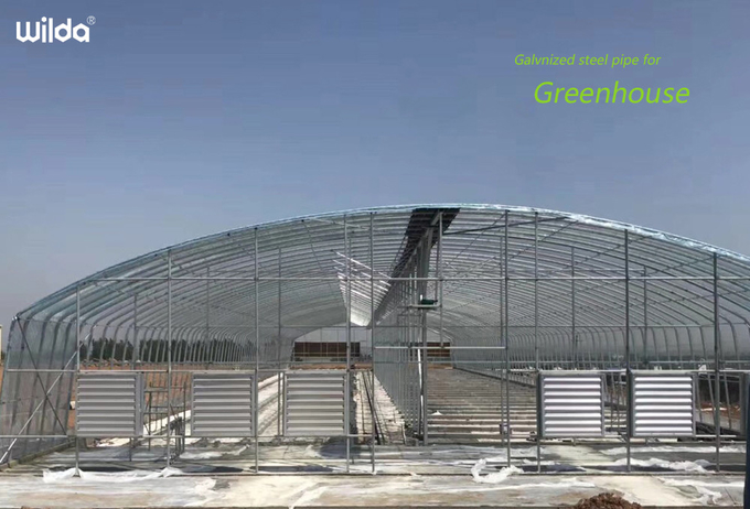 Cheap Tomato Agricultural Plastic Film Cover Low Cost Economic Tunnel Greenhouse For Vegetable
