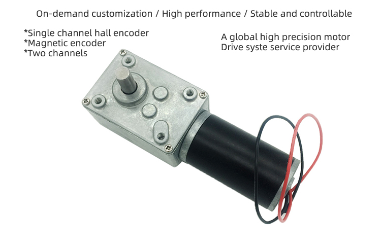 Faradyi Hot Sale Micro Mini 12v 24V Low Speed High Torque Dc Motor With Worm Direct Gear