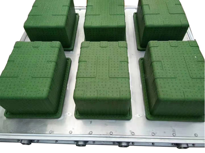 Custom EPS Mould Plastic Molds With Density 5-48 And 500 Capacity