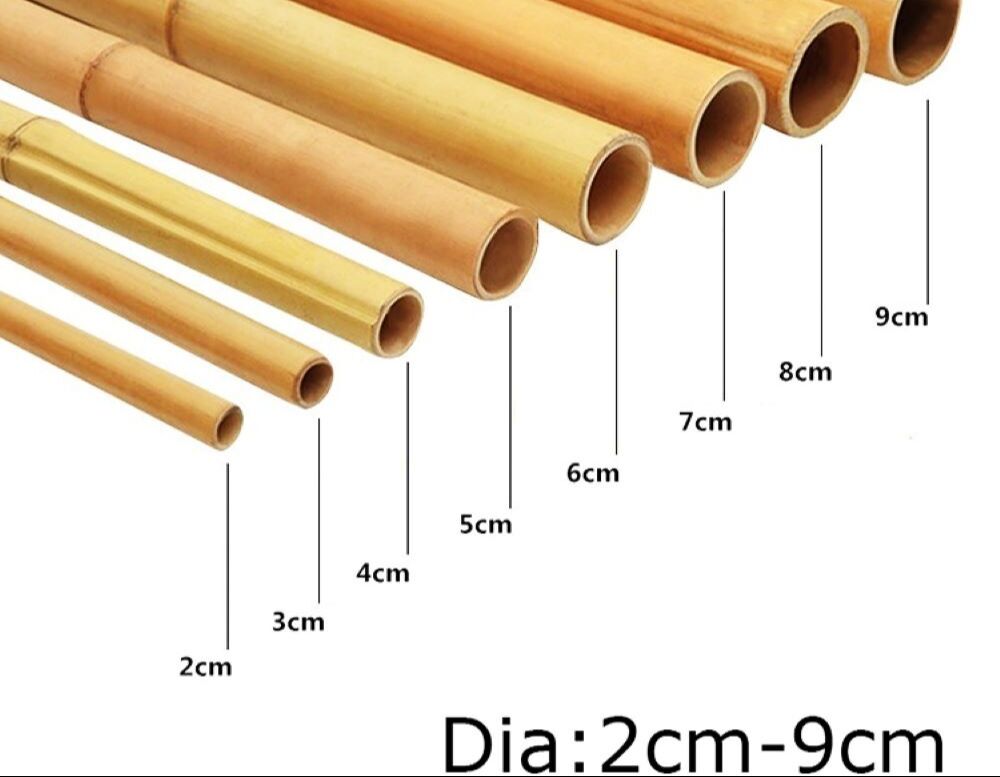 Wholesale Price Natural Moss Plant Pole Moss Stick For Climbing Plants Moss Poles Support