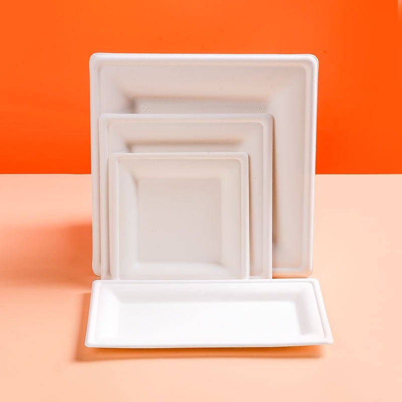 Food Custom Molded Pulp Packaging Biodegradable Environmentally Friendly