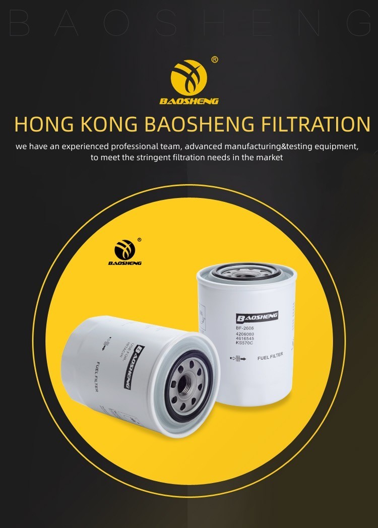 4206080 P552564 Excavator Fuel Filter For HITACHI LOVOL