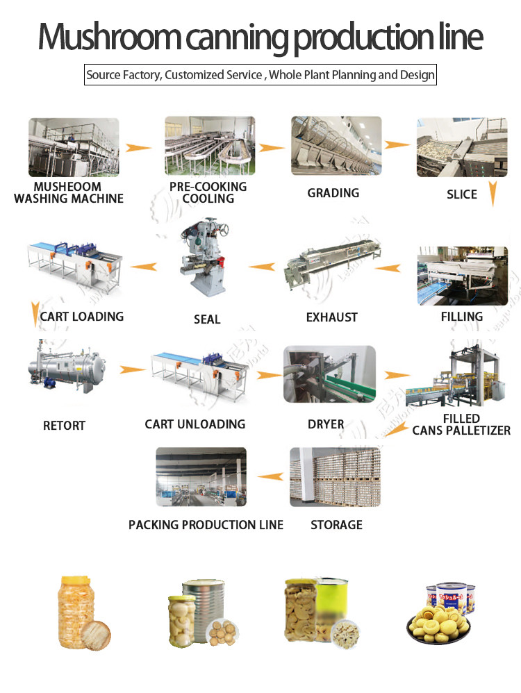 Custom Mushroom Canned Food Production Line Automatic Machines