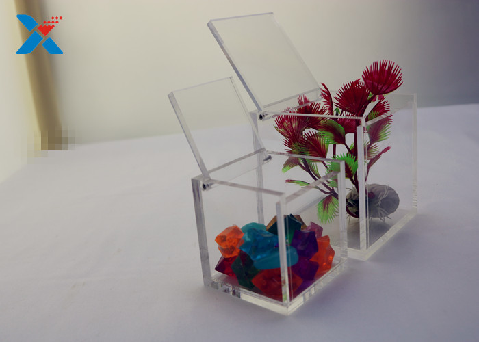 Cube Acrylic Packaging Box Color Customized For Candy / Flower Storage