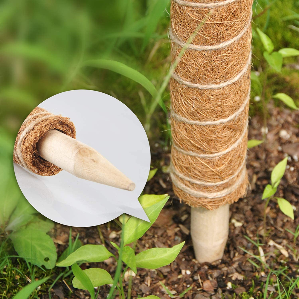 44cm Coir Moss Totem Pole Kit For Plants Climbing And Supporting Plants Coconut Pole