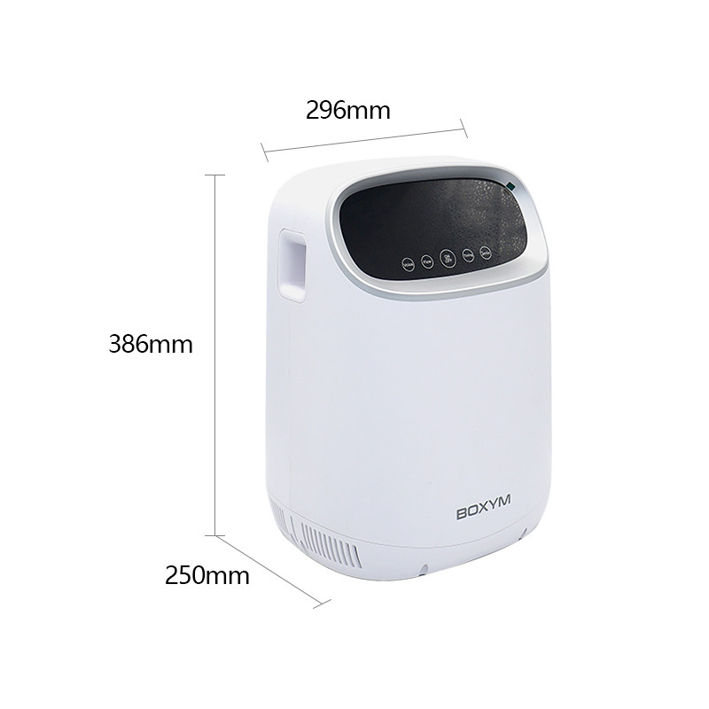 42dB Mini Portable Oxygen Generator 1L/ Min