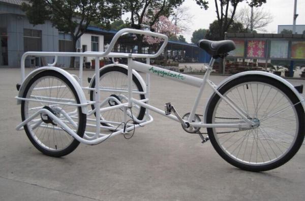 Street Food Bike Ice cream Bike Hot dog bicycle fast food Tricycles solar fridge