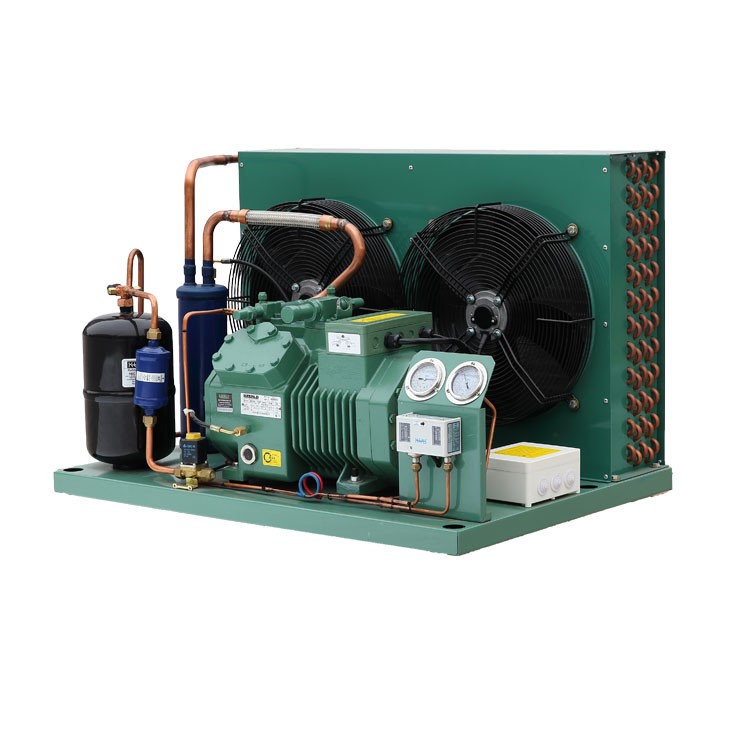 Low Temperature Cold Storage Compressor Cold Room Freezer Refrigeration Condensing Unit