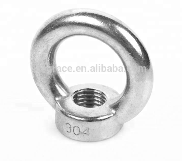 DIN 582 Stainless Steel Lifting Eye Nuts Polished
