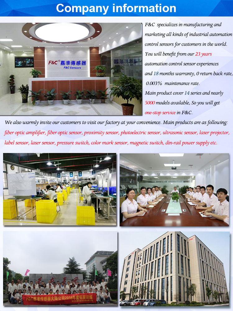 R25 bend radius 2m long cuttable fiber FFR-20ML Matrix type flat optical fiber sensor  .jpg