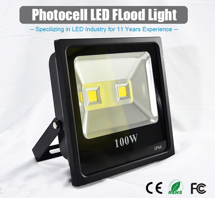 Thickened Aluminum Outdoor LED Flood Lights With Photocell High Voltage