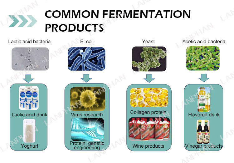 Mini Microbial / Bacteria Fermenter Bioreactor 1l Lab Fermenter Bioreactor For Algae