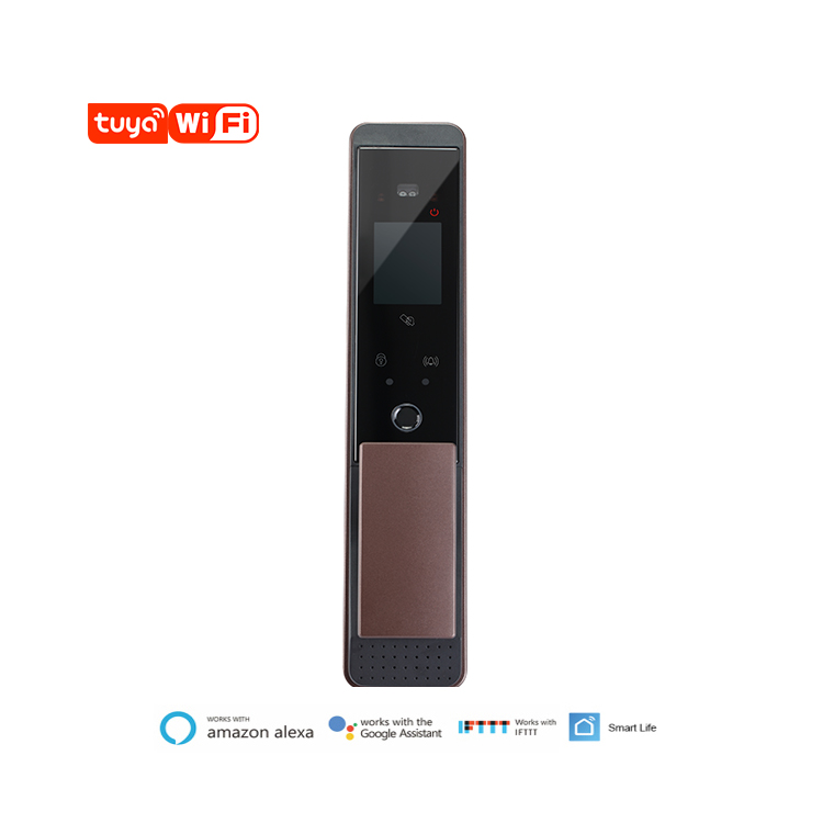 CE RoHS Tuya Smart Door Lock With Fingerprint Face Scan