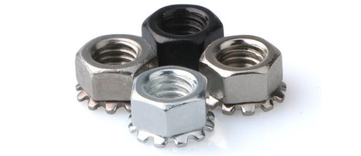 Stainless Steel K Nut Kep Nut K Nuts With Toothed Washer