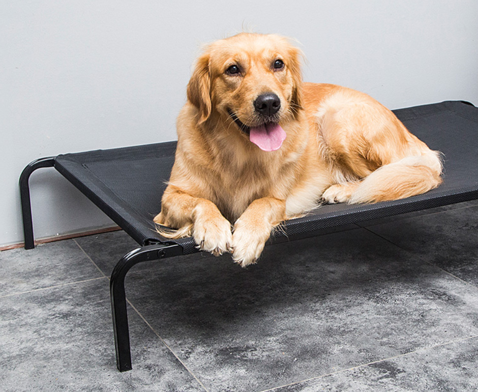 Breathable Elevated Dog Cot Bed 35in Portable Elevated Dog Bed