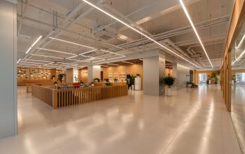 Focusight Technology Co.,Ltd