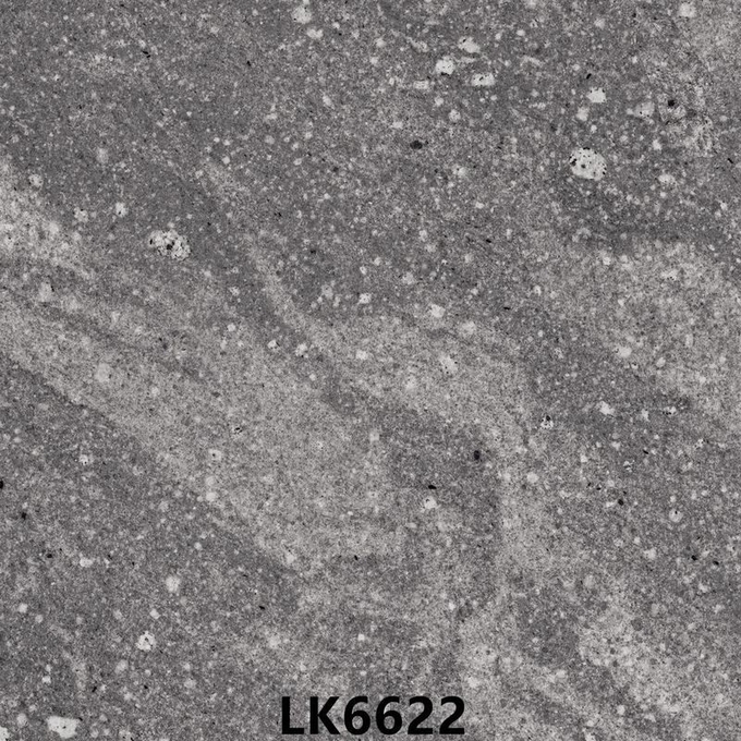 Wear-Resistant 600x600mm Exterior Wall Tile And Light Gray Full Body Porcelain Tiles For Shopping Mall And House