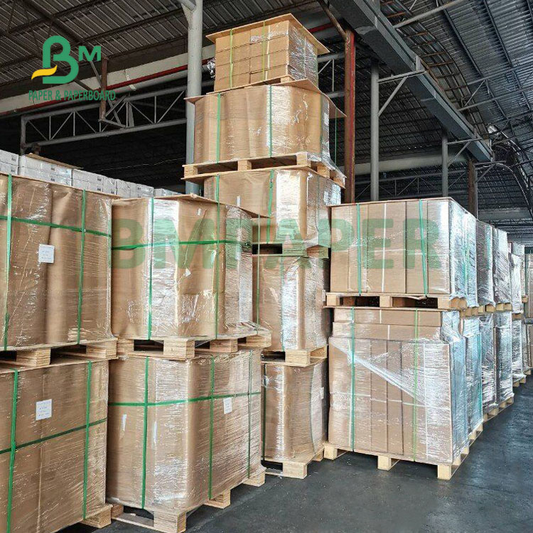 100gsm 150gsm Matt Coated CAD Plotter Paper Roll 24'' 36'' x 300ft Dye Ink