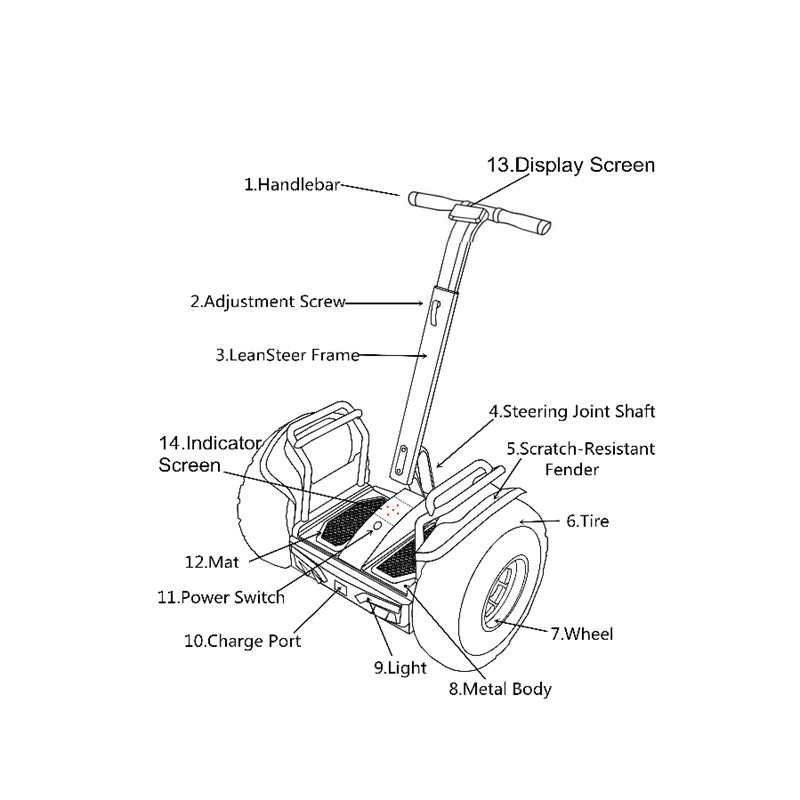 Self Balancing Segway 2 Wheel Electric Scooter Ecorider 2000w With CE Certification