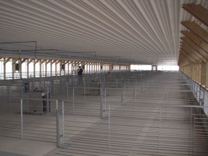 Galvanized Pig Farm Equipment Pig Farrowing Pen Gray Color Alkali Resistance