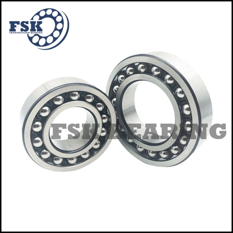 Miniature Size 129 TN9 1200 ETN9 2200 E 2RS1TN9 Self Aligning Ball Bearings Double Row