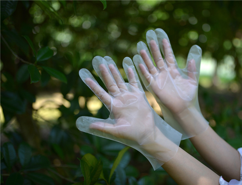 Plastic Transparent Household Disposable TPE Gloves