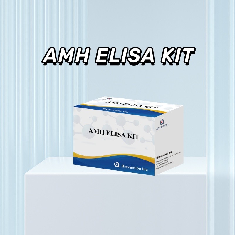 Anti-Mullerian Hormone AMH immunoenzymatic assay Elisa AMH test kit