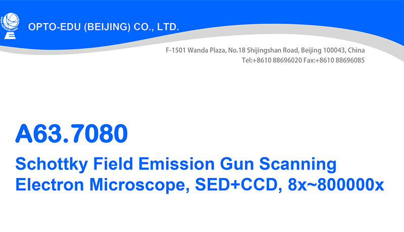 8x-800000x Emission Scanning Electron Microscope Schottky Gun A63.7080 Std Feg Sem
