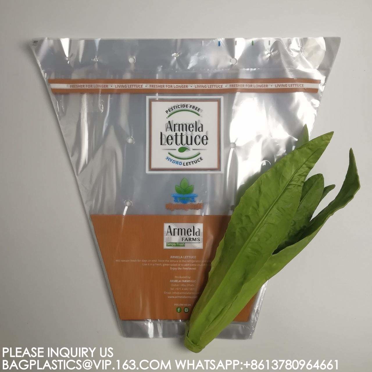 Manufacture Eco-Friendly Cellophane Vegetable Bags Customize Logo Lettuce Packaging Bag