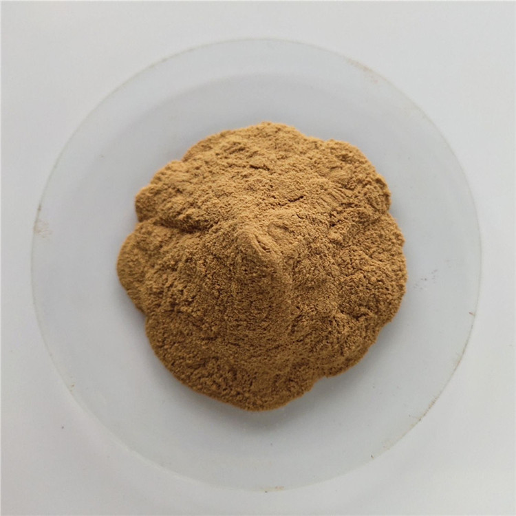 Houttuynia cordata extract powder For detoxification