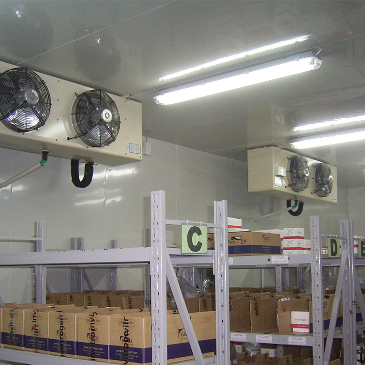 Commercial Industrial Container Cold Room Icemedal Freezer Storage B1 Engineering Grade