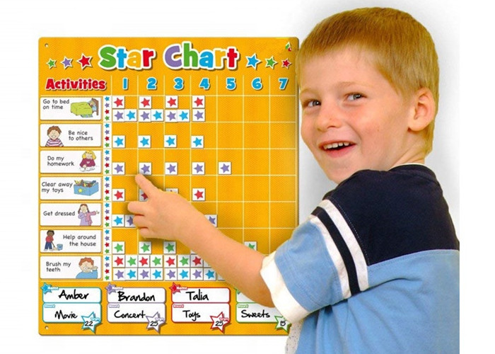 16 x 12 inches Interactive Magnetic Reward Chart with Dry Erase Board Customizable Design