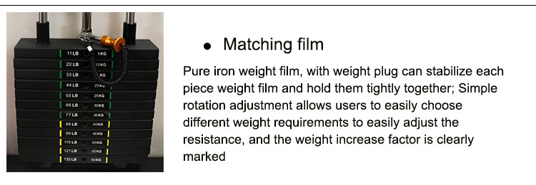Professional Matrix Strength Training Equipment Gym Biceps Curl Machine