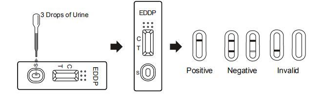 Ethylenediamine Dimethylphosphinic Acid EDDP Drug Test 99.4% Specificity